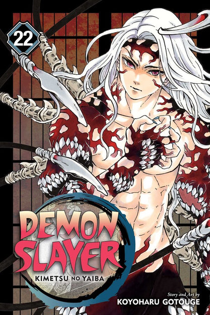 Demon Slayer Kimetsu no Yaiba Manga Volume 22