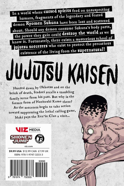 Jujutsu Kaisen manga volume 17